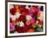 Roses for Sale at Flower Market-Tibor Bogn?r-Framed Photographic Print