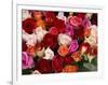 Roses for Sale at Flower Market-Tibor Bogn?r-Framed Photographic Print