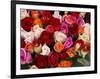 Roses for Sale at Flower Market-Tibor Bogn?r-Framed Photographic Print