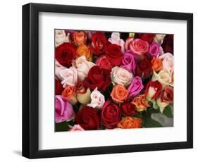 Roses for Sale at Flower Market-Tibor Bogn?r-Framed Photographic Print