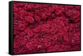Roses for Sale, Delhi, India, Asia-Balan Madhavan-Framed Stretched Canvas