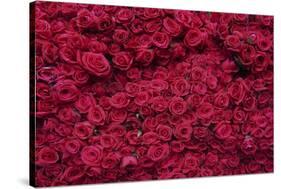 Roses for Sale, Delhi, India, Asia-Balan Madhavan-Stretched Canvas