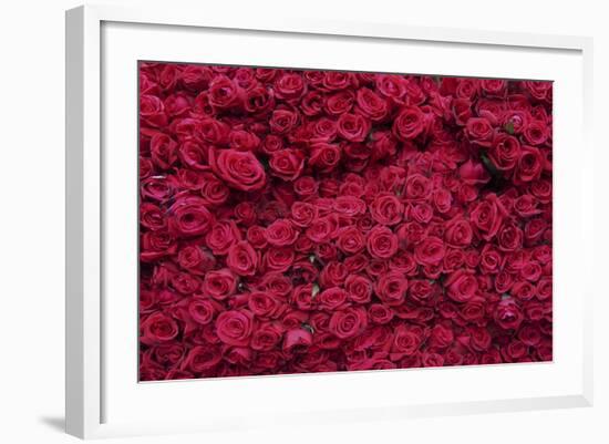 Roses for Sale, Delhi, India, Asia-Balan Madhavan-Framed Photographic Print