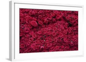 Roses for Sale, Delhi, India, Asia-Balan Madhavan-Framed Photographic Print