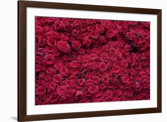 Roses for Sale, Delhi, India, Asia-Balan Madhavan-Framed Photographic Print