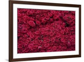 Roses for Sale, Delhi, India, Asia-Balan Madhavan-Framed Photographic Print