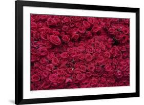 Roses for Sale, Delhi, India, Asia-Balan Madhavan-Framed Photographic Print