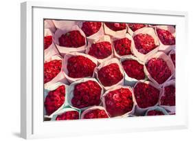 Roses for Sale, Flower Market, Near Chinatown, Bangkok, Thailand-Peter Adams-Framed Photographic Print