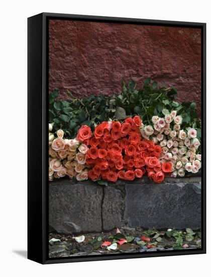 Roses for Sale on Street, San Miguel De Allende, Mexico-Nancy Rotenberg-Framed Stretched Canvas