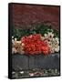 Roses for Sale on Street, San Miguel De Allende, Mexico-Nancy Rotenberg-Framed Stretched Canvas