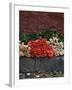 Roses for Sale on Street, San Miguel De Allende, Mexico-Nancy Rotenberg-Framed Photographic Print