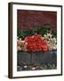 Roses for Sale on Street, San Miguel De Allende, Mexico-Nancy Rotenberg-Framed Photographic Print