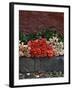 Roses for Sale on Street, San Miguel De Allende, Mexico-Nancy Rotenberg-Framed Photographic Print