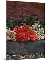 Roses for Sale on Street, San Miguel De Allende, Mexico-Nancy Rotenberg-Mounted Photographic Print