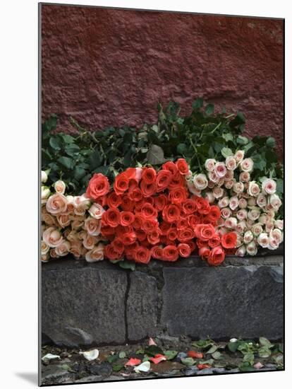 Roses for Sale on Street, San Miguel De Allende, Mexico-Nancy Rotenberg-Mounted Photographic Print