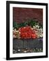 Roses for Sale on Street, San Miguel De Allende, Mexico-Nancy Rotenberg-Framed Photographic Print