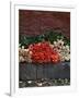 Roses for Sale on Street, San Miguel De Allende, Mexico-Nancy Rotenberg-Framed Photographic Print