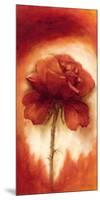 Roses II-Betty Jansma-Mounted Art Print