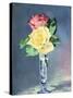 Roses in a Champaign-Glass, 1882-Edouard Manet-Stretched Canvas