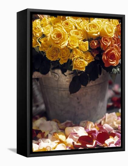 Roses in a Flower Market, Paris, France-Walter Bibikow-Framed Stretched Canvas