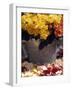 Roses in a Flower Market, Paris, France-Walter Bibikow-Framed Photographic Print