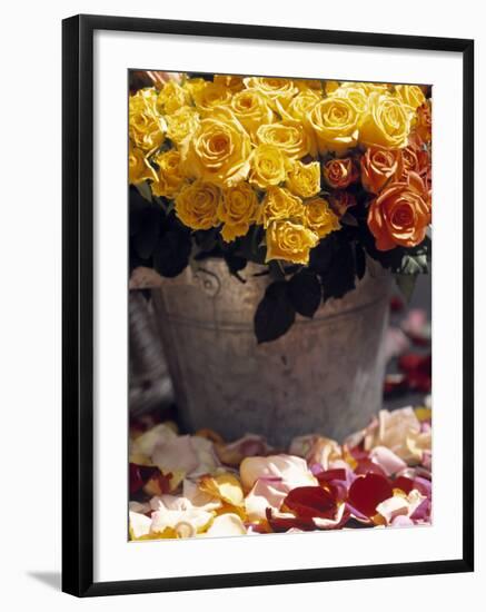 Roses in a Flower Market, Paris, France-Walter Bibikow-Framed Photographic Print