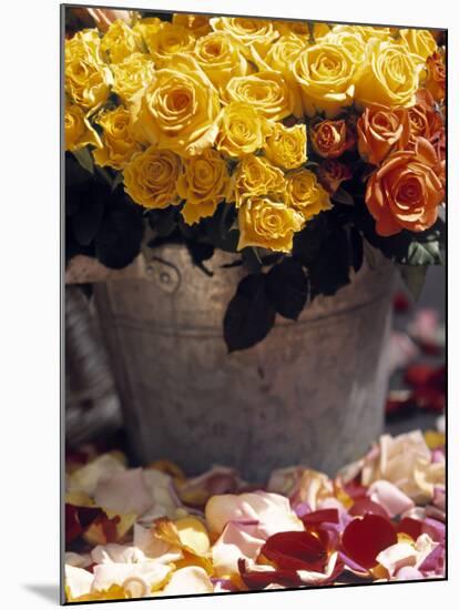 Roses in a Flower Market, Paris, France-Walter Bibikow-Mounted Photographic Print