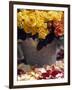 Roses in a Flower Market, Paris, France-Walter Bibikow-Framed Photographic Print