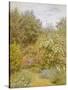 Roses in a Surrey Garden-Helen Allingham-Stretched Canvas