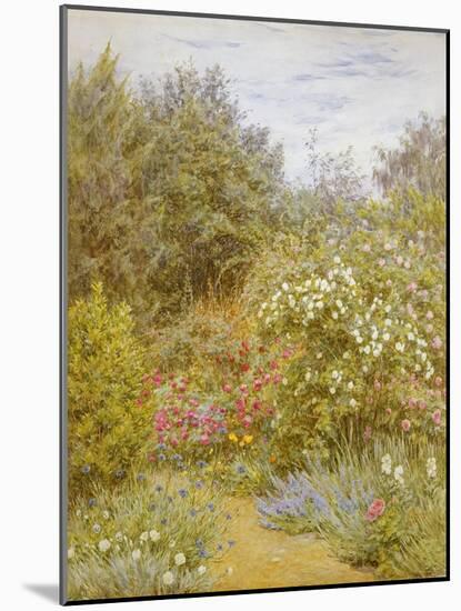 Roses in a Surrey Garden-Helen Allingham-Mounted Giclee Print