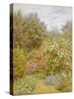 Roses in a Surrey Garden-Helen Allingham-Stretched Canvas