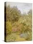 Roses in a Surrey Garden-Helen Allingham-Stretched Canvas