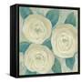 Roses in Bloom I-Tim OToole-Framed Stretched Canvas