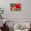 Roses in Bloom Washington DC Photo Print Poster-null-Stretched Canvas displayed on a wall