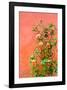 Roses in Certaldo Tuscany-null-Framed Art Print