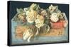 Roses in Cigar Box, Christmas Card-English School-Stretched Canvas