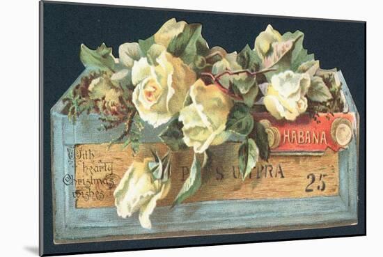 Roses in Cigar Box, Christmas Card-English School-Mounted Giclee Print