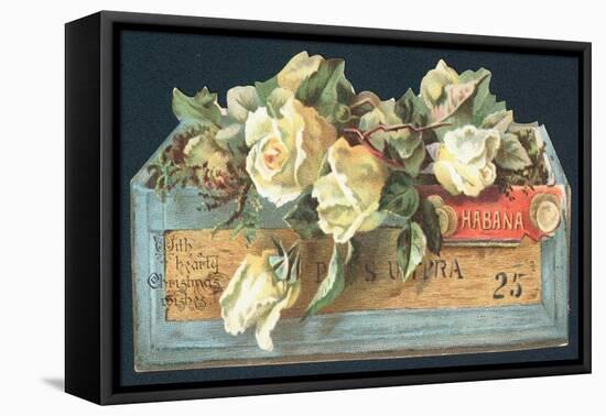 Roses in Cigar Box, Christmas Card-English School-Framed Stretched Canvas