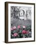 Roses in Fore in Duke of Windsor's Garden at His Summer Home in South of France-Frank Scherschel-Framed Photographic Print