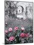 Roses in Fore in Duke of Windsor's Garden at His Summer Home in South of France-Frank Scherschel-Mounted Photographic Print