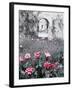 Roses in Fore in Duke of Windsor's Garden at His Summer Home in South of France-Frank Scherschel-Framed Photographic Print