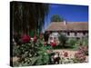 Roses in Front of Typical Timbered Farmhouse, Near St. Pierre-Sur-Dives, Calvados, France-Ruth Tomlinson-Stretched Canvas