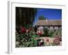 Roses in Front of Typical Timbered Farmhouse, Near St. Pierre-Sur-Dives, Calvados, France-Ruth Tomlinson-Framed Photographic Print