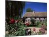 Roses in Front of Typical Timbered Farmhouse, Near St. Pierre-Sur-Dives, Calvados, France-Ruth Tomlinson-Mounted Photographic Print