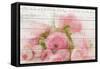 Roses in Paris-Kimberly Allen-Framed Stretched Canvas