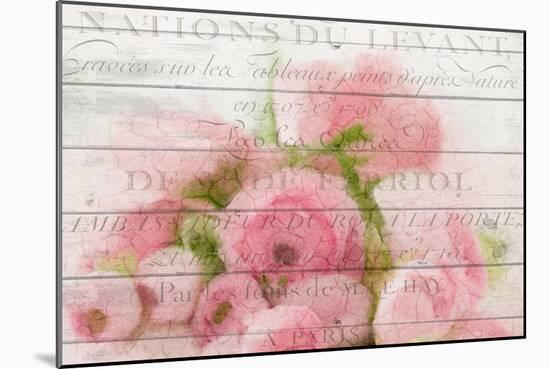 Roses in Paris-Kimberly Allen-Mounted Premium Giclee Print