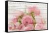 Roses in Paris-Kimberly Allen-Framed Stretched Canvas