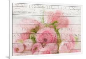 Roses in Paris-Kimberly Allen-Framed Art Print