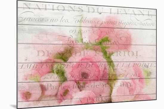 Roses in Paris-Kimberly Allen-Mounted Art Print