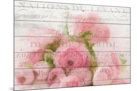 Roses in Paris-Kimberly Allen-Mounted Art Print